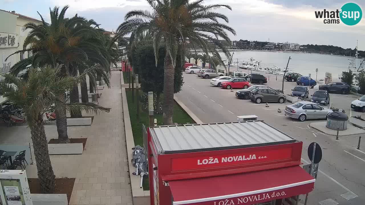 Camera en diecto Novalja – Obala Petra Krešimira IV