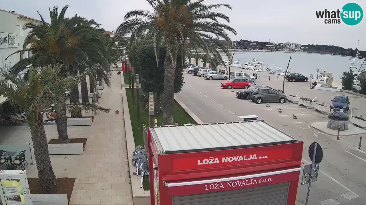 Webcam live Novalja – Obala Petra Krešimira IV