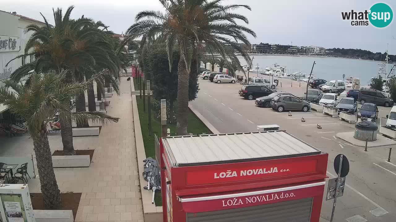 Camera en diecto Novalja – Obala Petra Krešimira IV