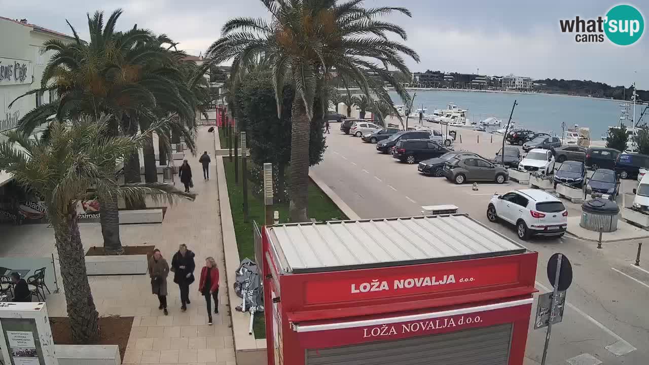 Camera en diecto Novalja – Obala Petra Krešimira IV