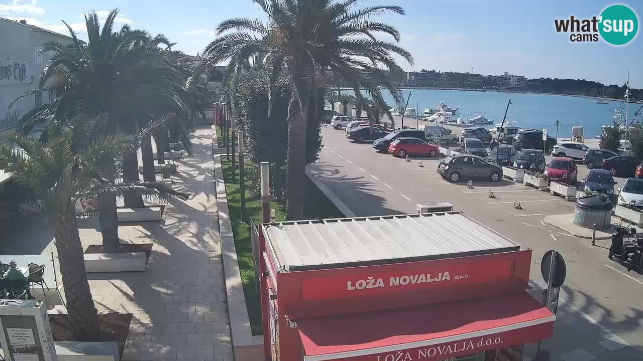 Spletna kamera Novalja – Obala Petra Krešimira IV