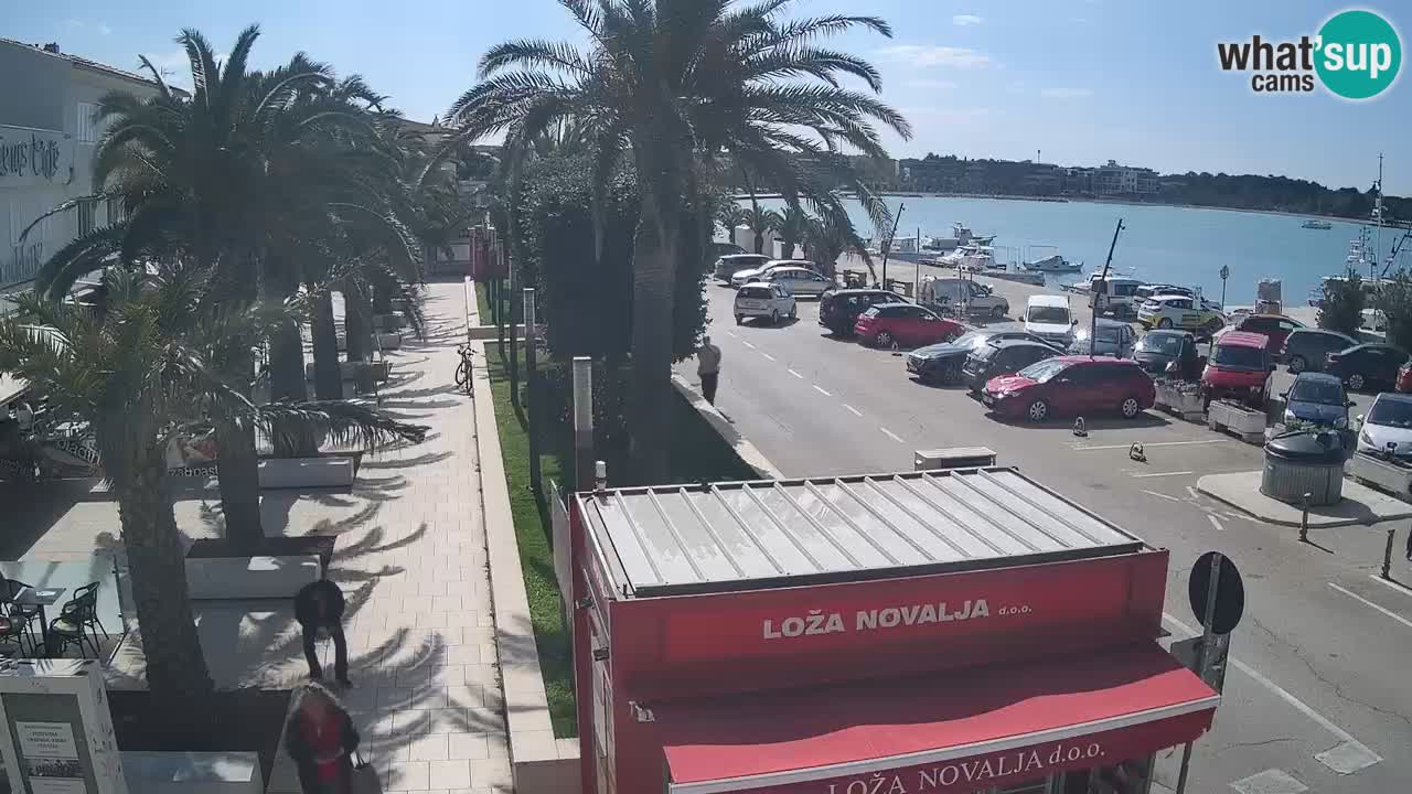 Webcam live Novalja – Obala Petra Krešimira IV