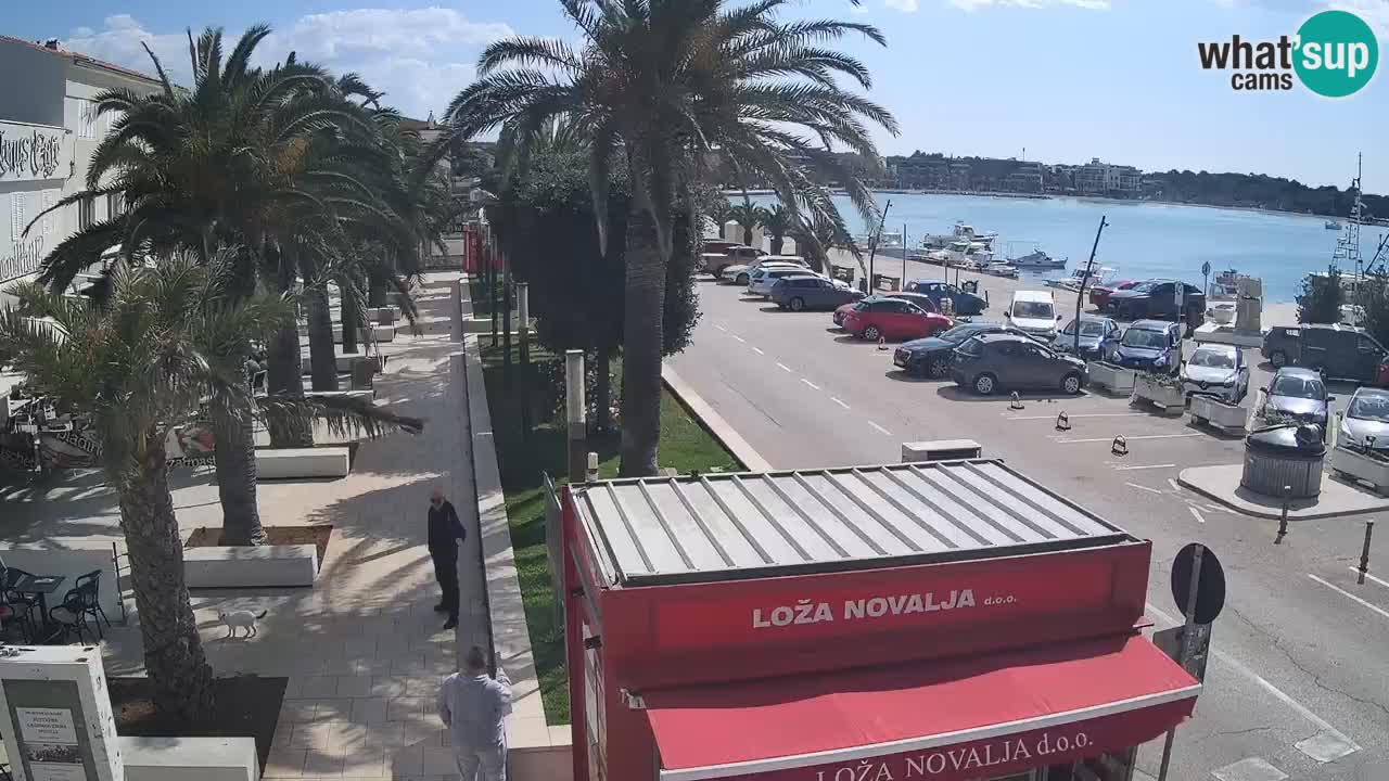 Live cam Novalja – Obala Petra Krešimira IV