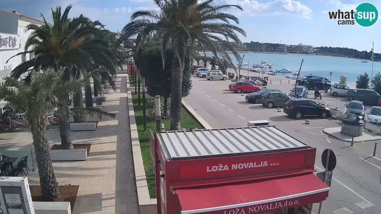 Camera en diecto Novalja – Obala Petra Krešimira IV