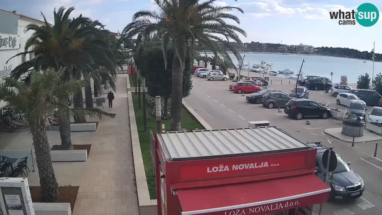 Camera en diecto Novalja – Obala Petra Krešimira IV