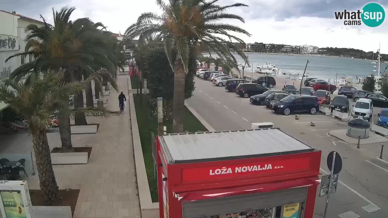 Camera en diecto Novalja – Obala Petra Krešimira IV