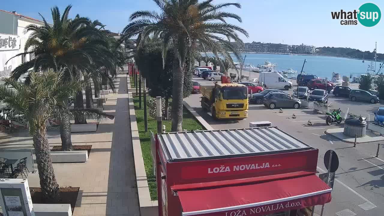 Camera en diecto Novalja – Obala Petra Krešimira IV