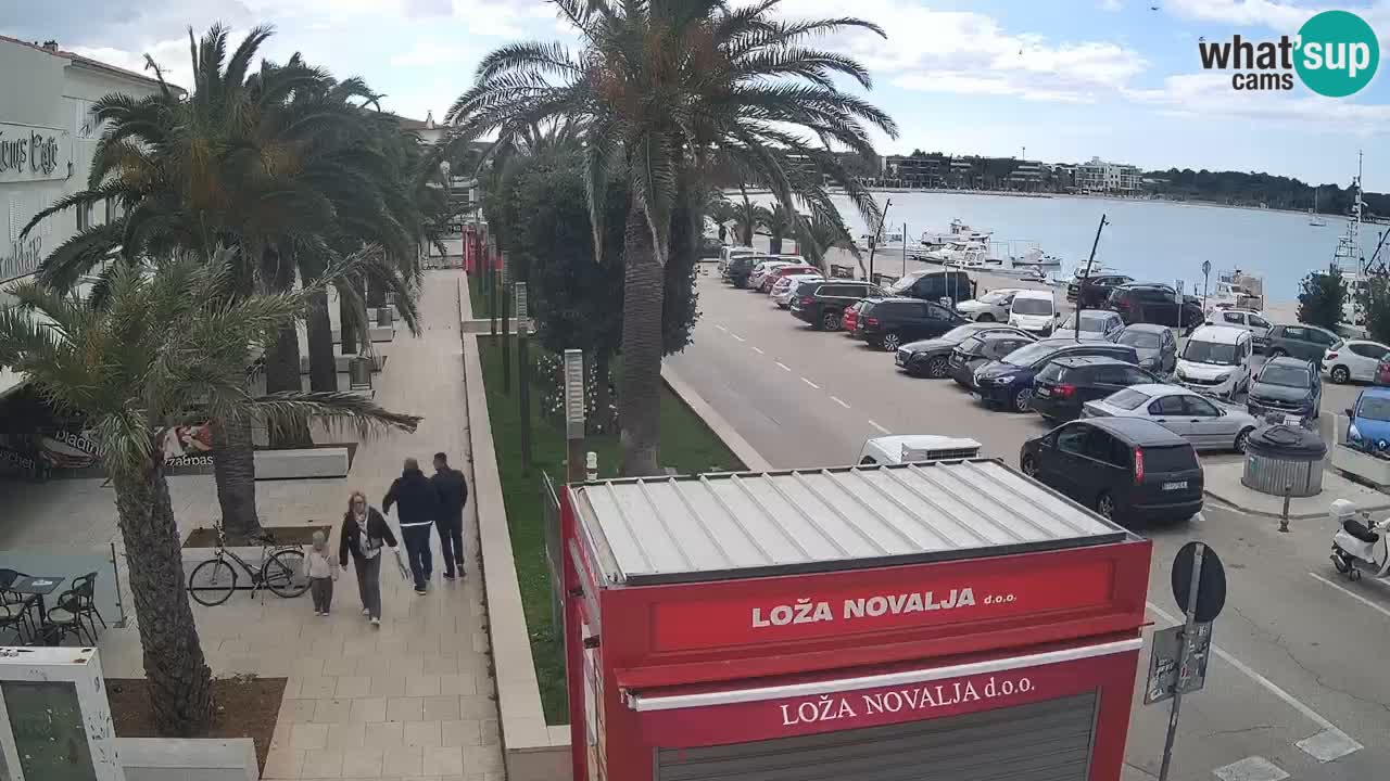 Camera en diecto Novalja – Obala Petra Krešimira IV