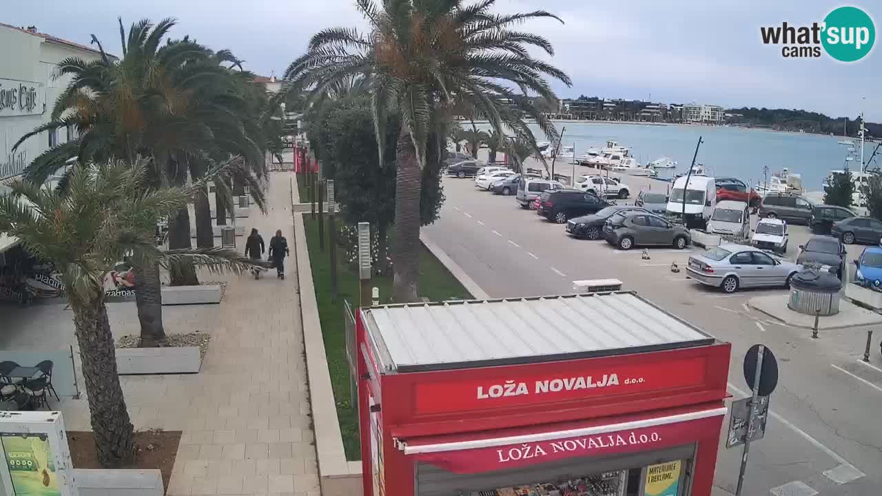 Web kamera Novalja – Obala Petra Krešimira IV