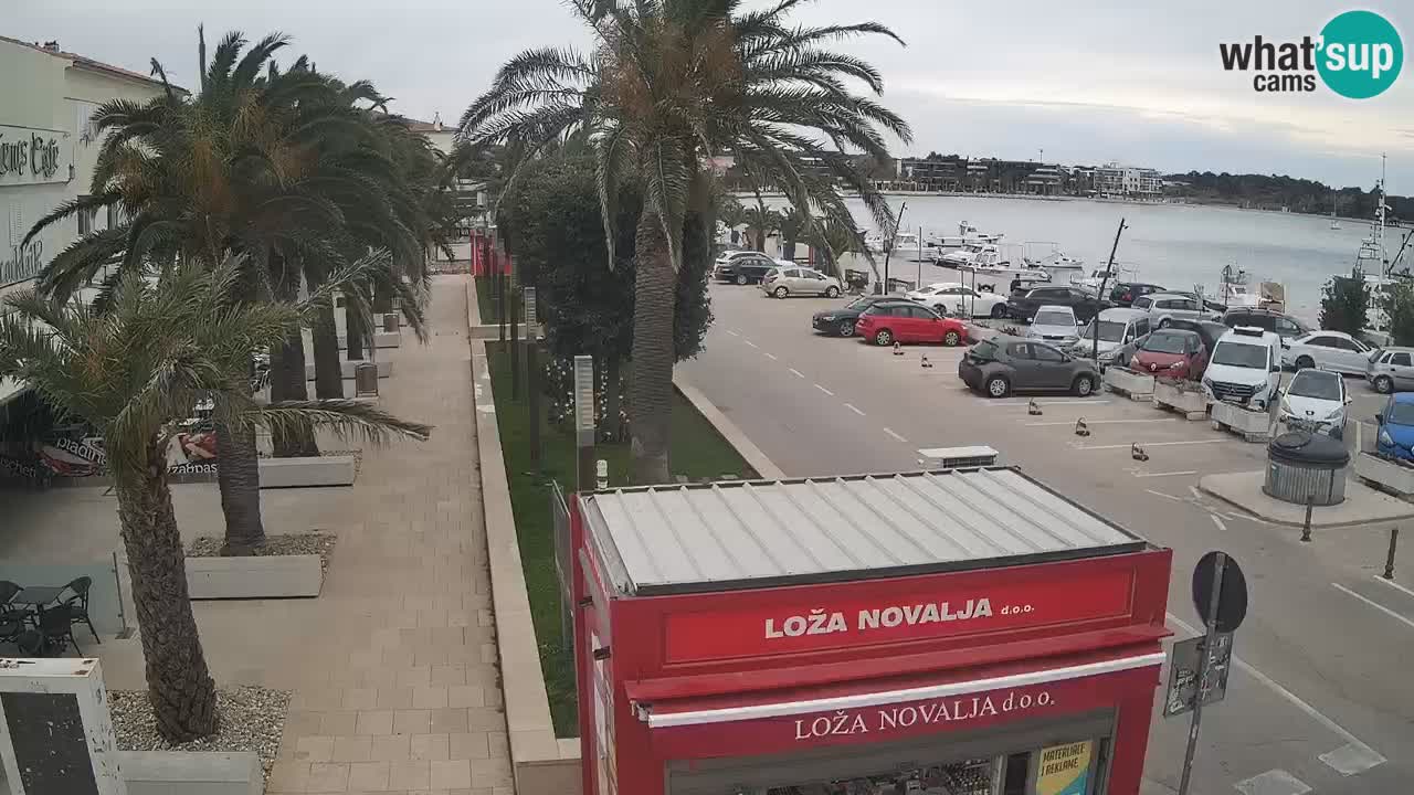 Web kamera Novalja – Obala Petra Krešimira IV