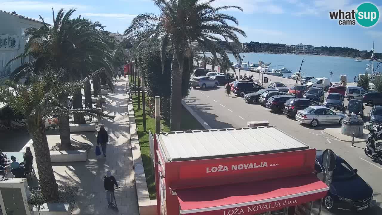 Camera en diecto Novalja – Obala Petra Krešimira IV