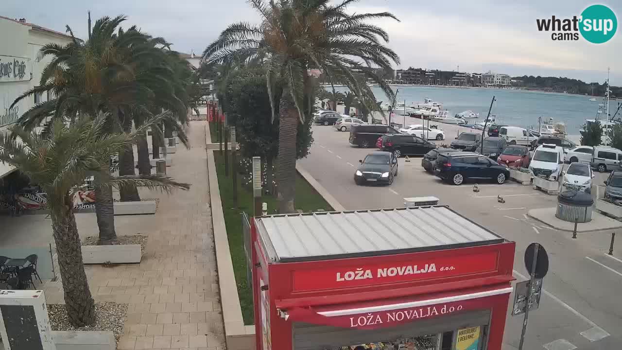 Web kamera Novalja – Obala Petra Krešimira IV