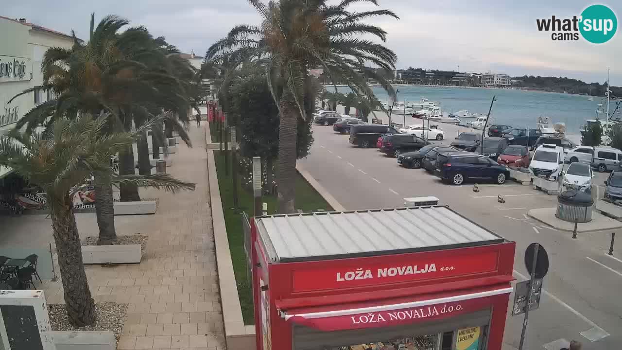 Camera en diecto Novalja – Obala Petra Krešimira IV