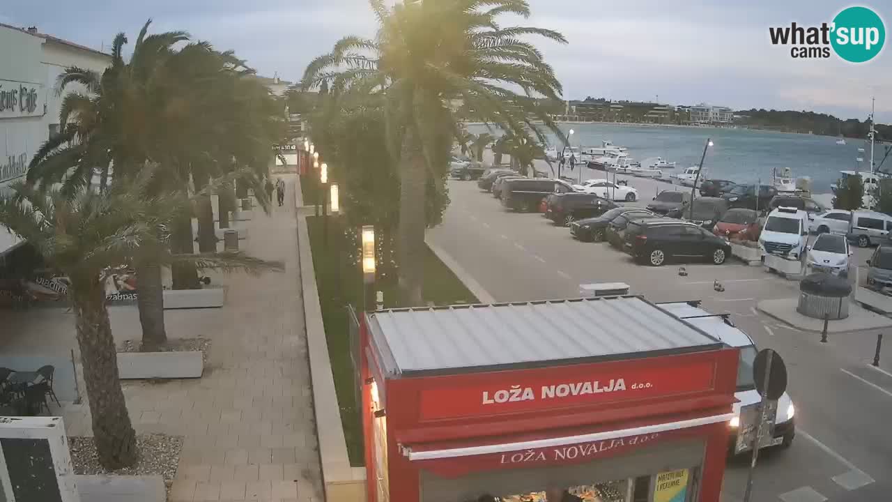 Camera en diecto Novalja – Obala Petra Krešimira IV