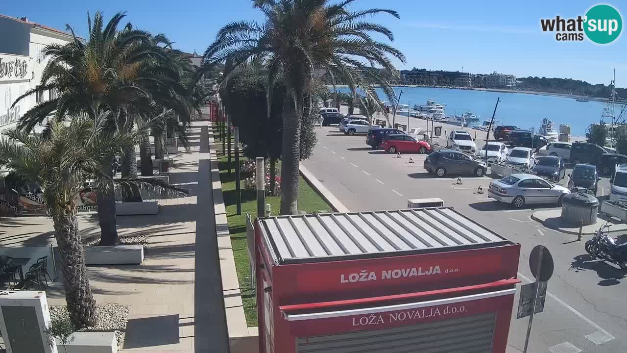 Spletna kamera Novalja – Obala Petra Krešimira IV