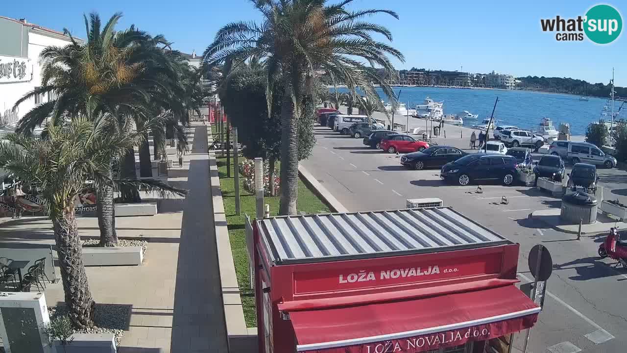 Camera en diecto Novalja – Obala Petra Krešimira IV