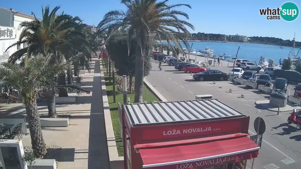 Camera en diecto Novalja – Obala Petra Krešimira IV