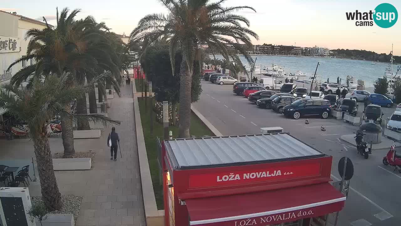 Camera en diecto Novalja – Obala Petra Krešimira IV