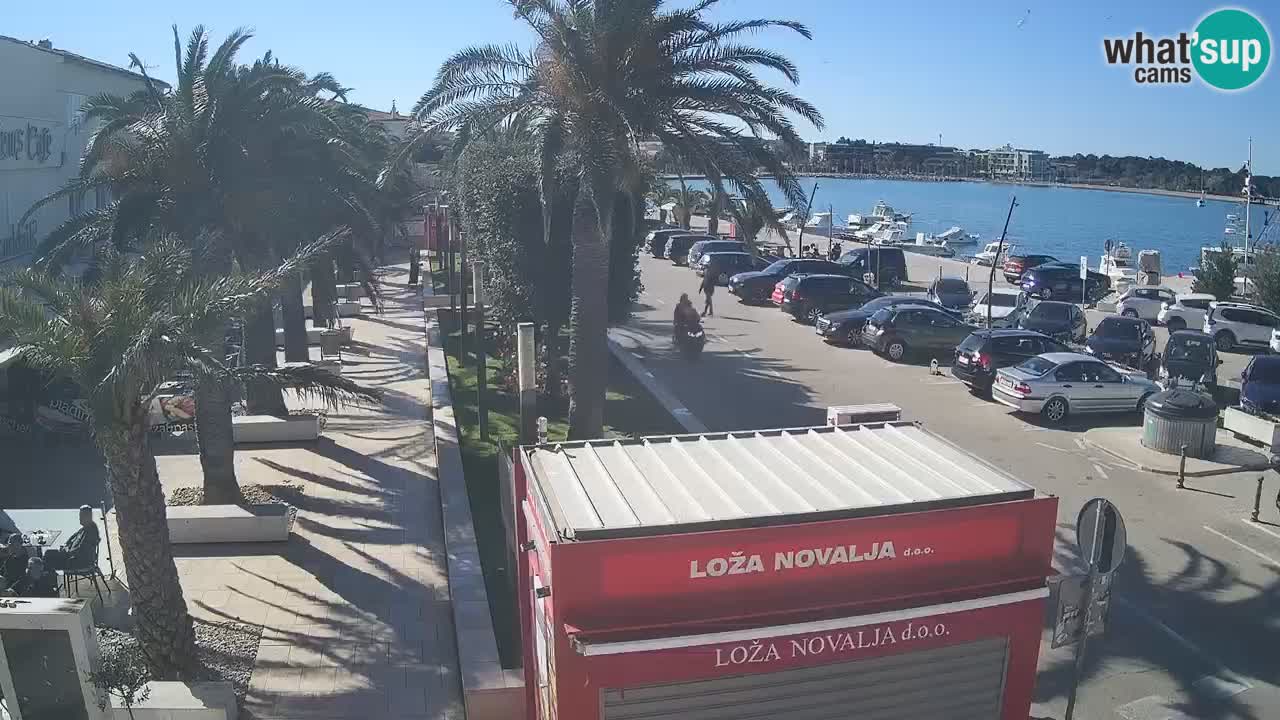 Webcam live Novalja – Obala Petra Krešimira IV