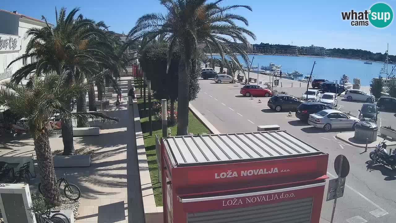 Camera en diecto Novalja – Obala Petra Krešimira IV