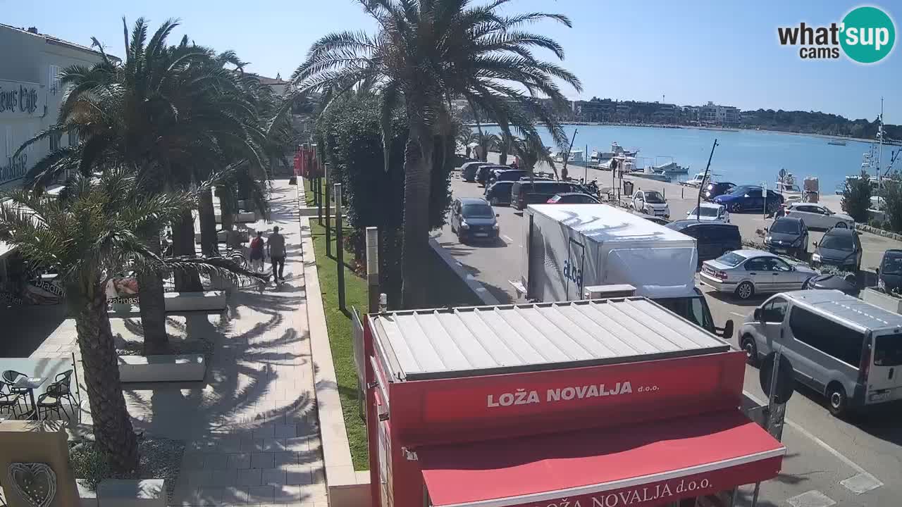 Camera en diecto Novalja – Obala Petra Krešimira IV