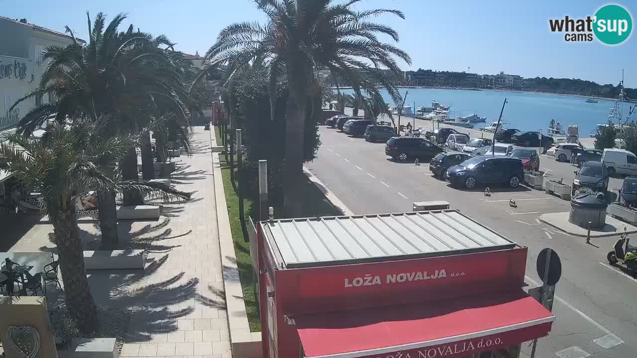 Webcam Novalja – Obala Petra Krešimira IV
