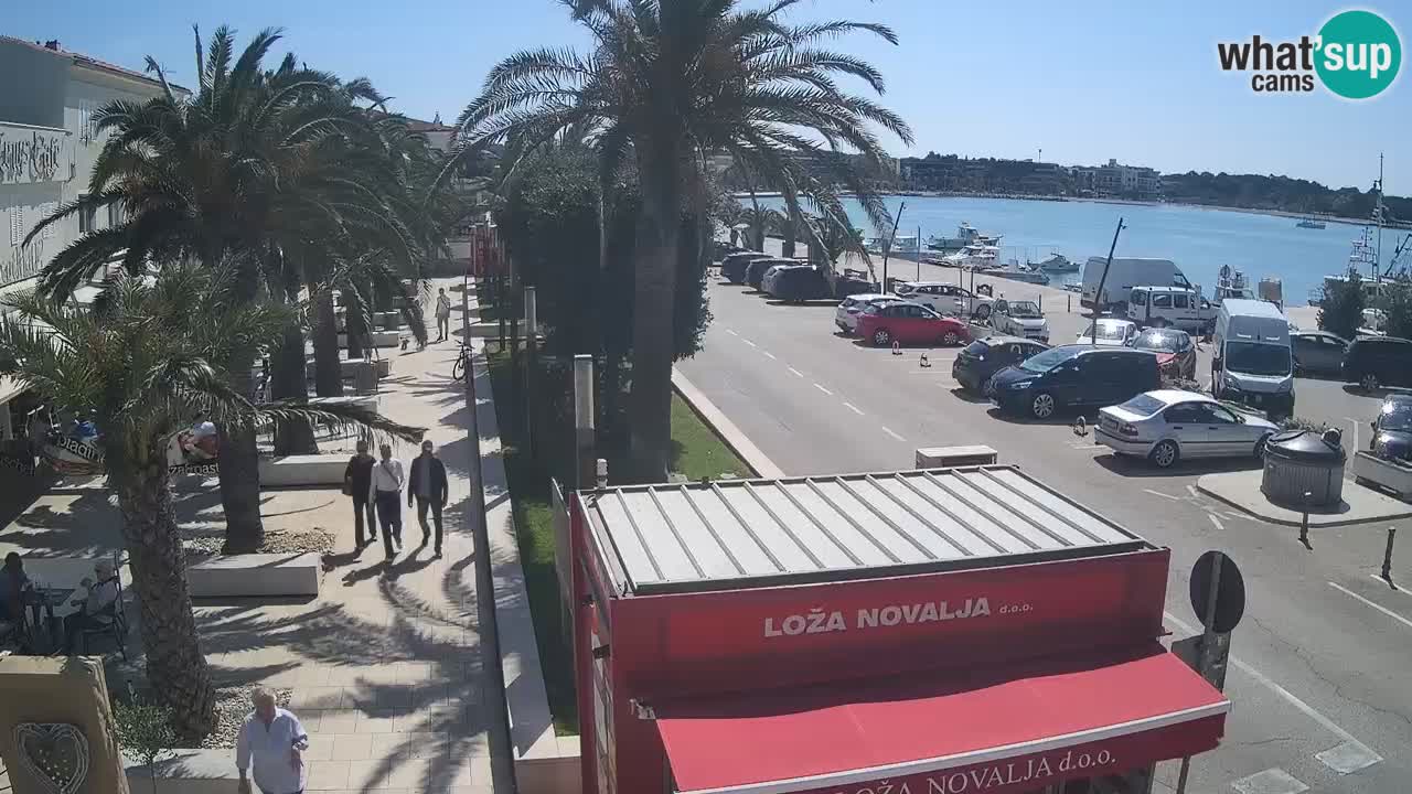 Camera en diecto Novalja – Obala Petra Krešimira IV