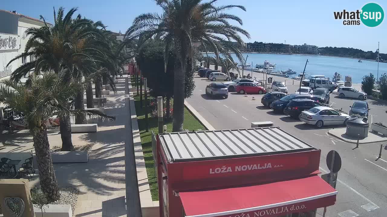 Camera en diecto Novalja – Obala Petra Krešimira IV