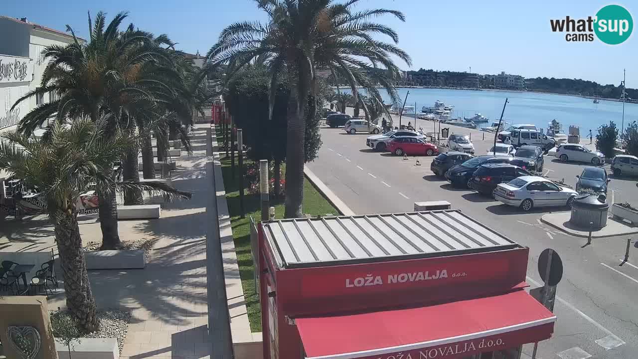 Camera en diecto Novalja – Obala Petra Krešimira IV