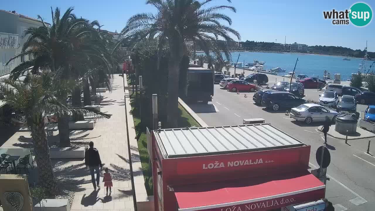 Camera en diecto Novalja – Obala Petra Krešimira IV