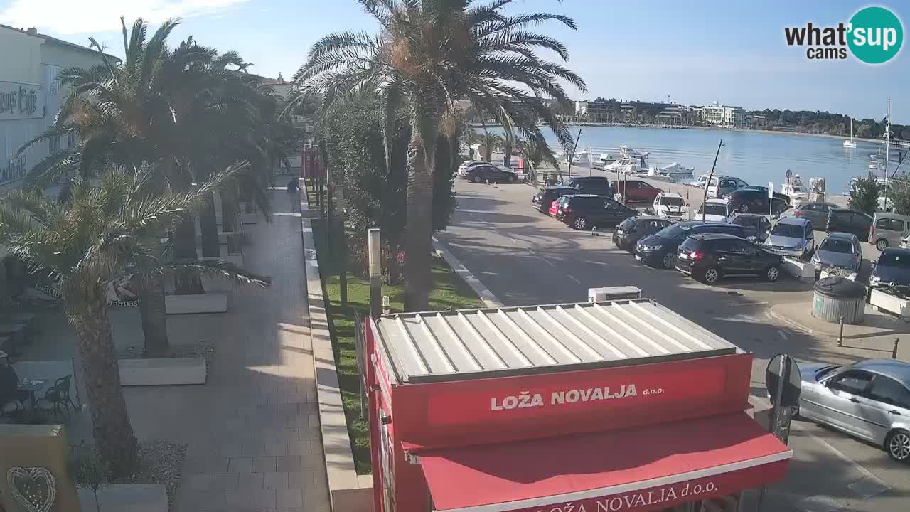 Live cam Novalja – Obala Petra Krešimira IV