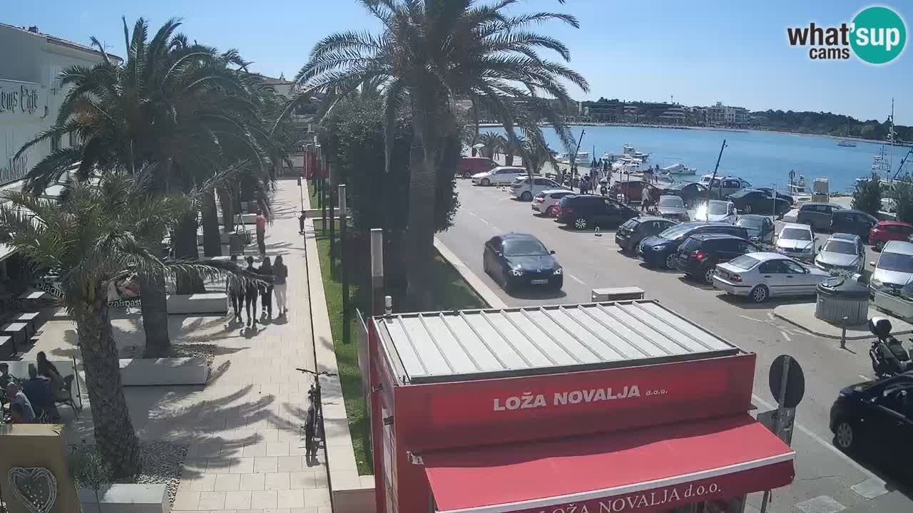 Webcam live Novalja – Obala Petra Krešimira IV