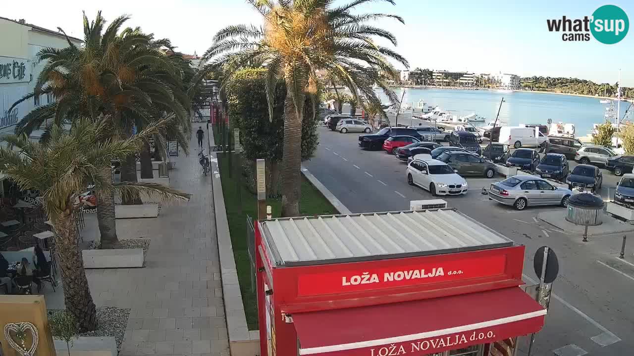 Camera en diecto Novalja – Obala Petra Krešimira IV