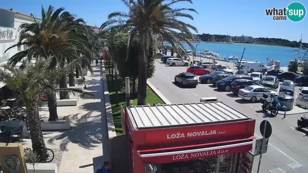 Camera en diecto Novalja – Obala Petra Krešimira IV