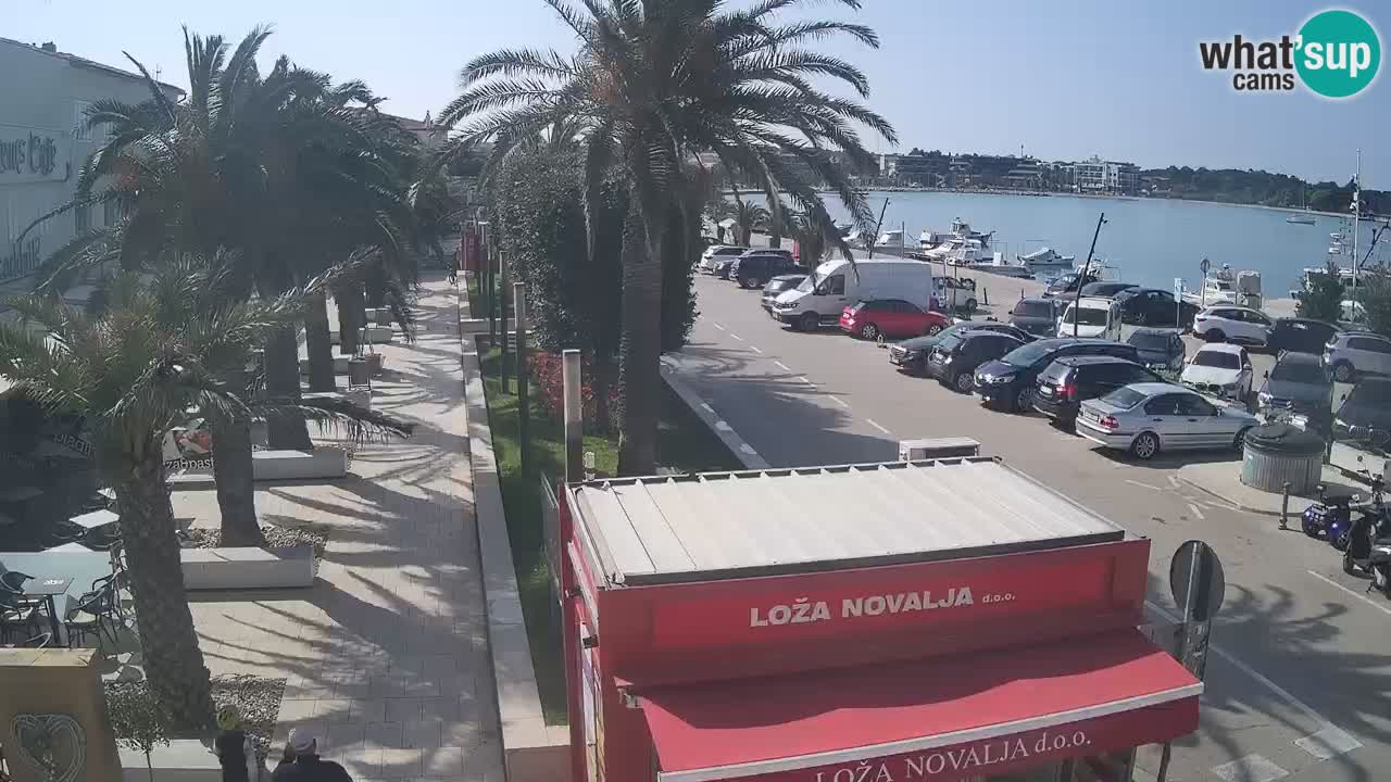 Camera en diecto Novalja – Obala Petra Krešimira IV