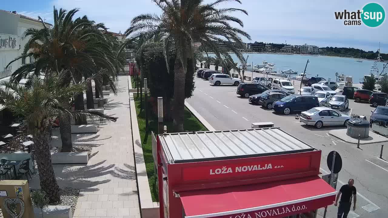 Spletna kamera Novalja – Obala Petra Krešimira IV