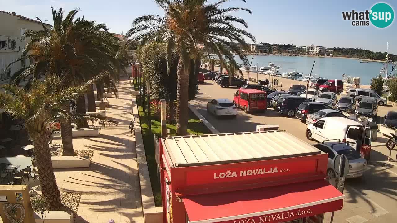 Camera en diecto Novalja – Obala Petra Krešimira IV