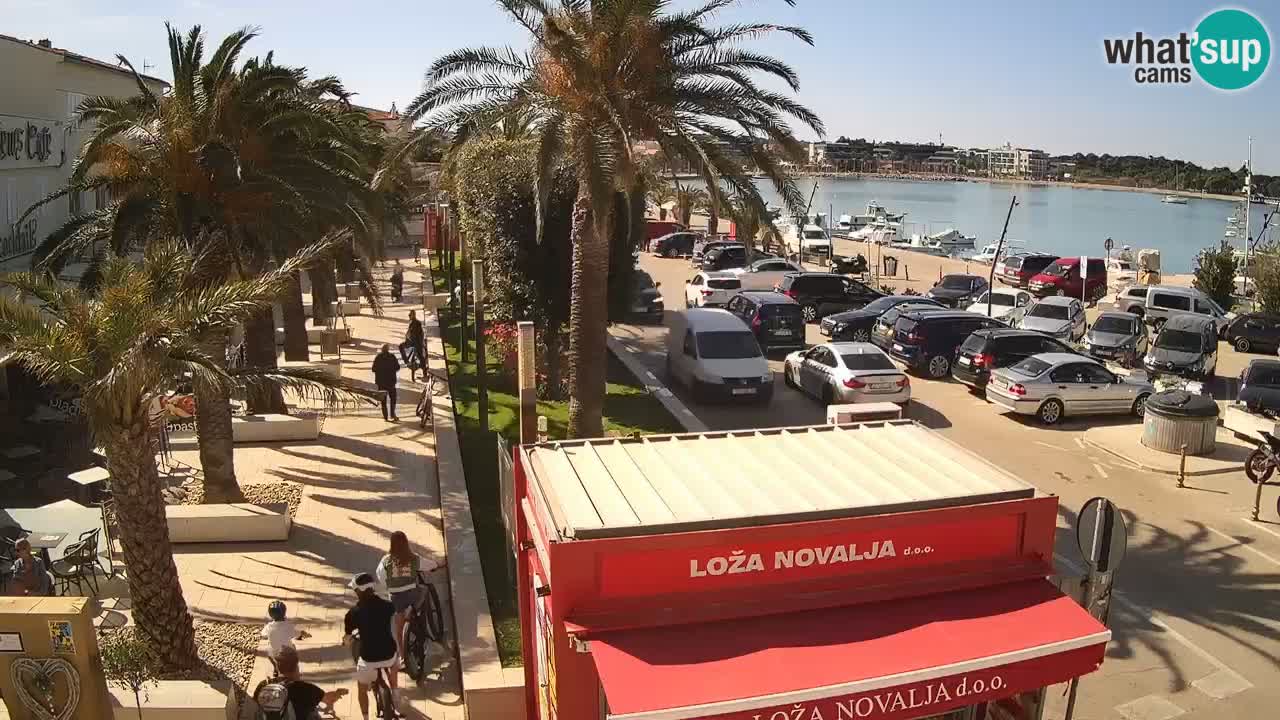 Camera en diecto Novalja – Obala Petra Krešimira IV