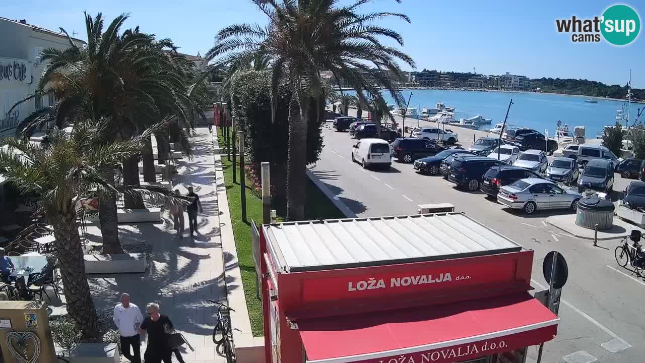 Camera en diecto Novalja – Obala Petra Krešimira IV