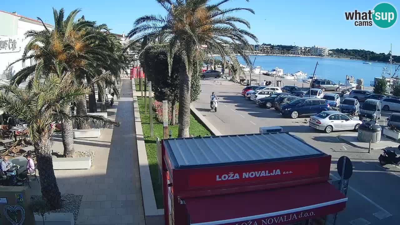 Camera en diecto Novalja – Obala Petra Krešimira IV