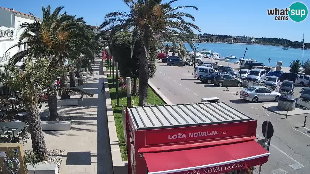 Web kamera Novalja – Obala Petra Krešimira IV