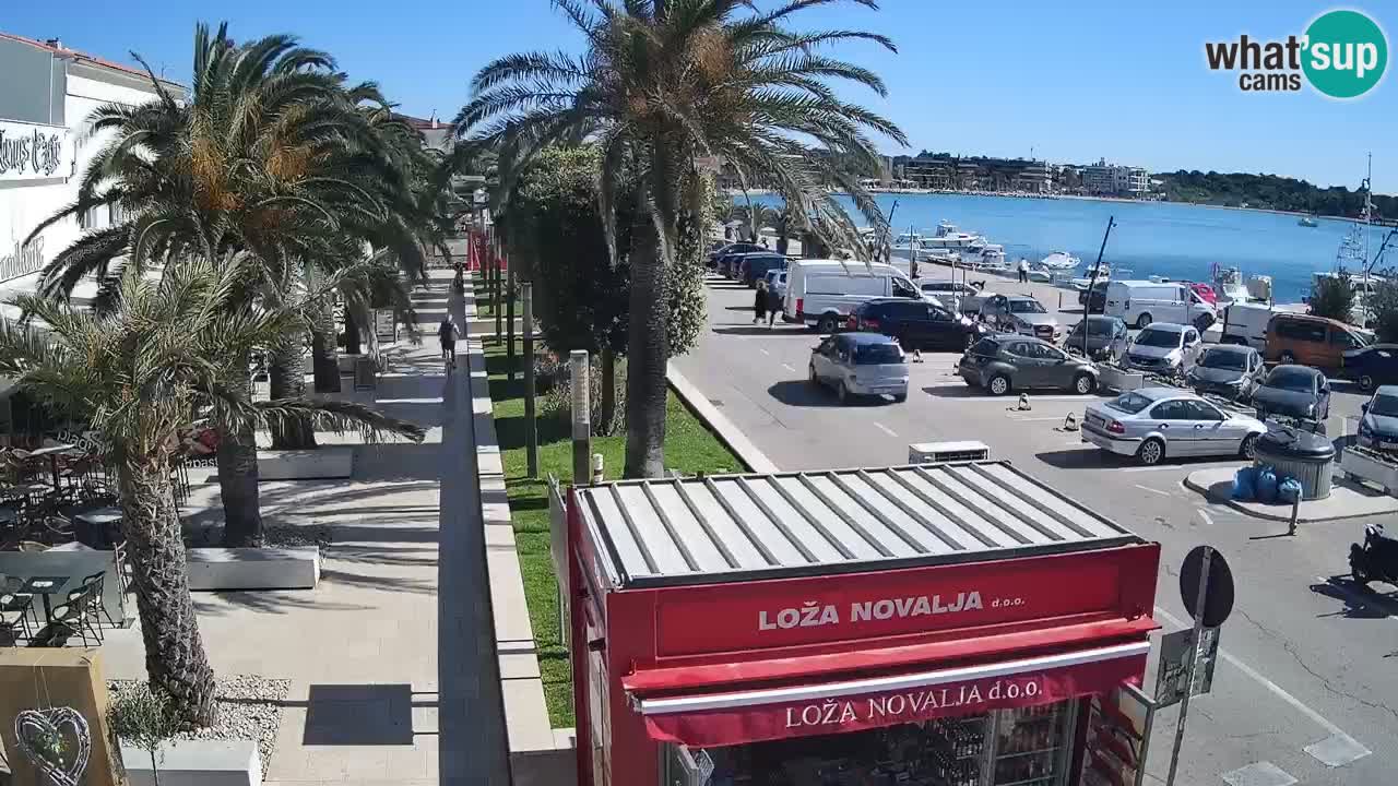 Camera en diecto Novalja – Obala Petra Krešimira IV