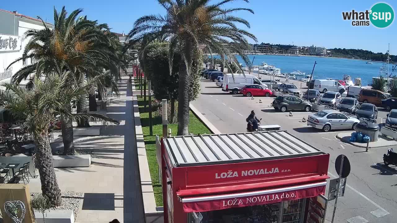 Spletna kamera Novalja – Obala Petra Krešimira IV