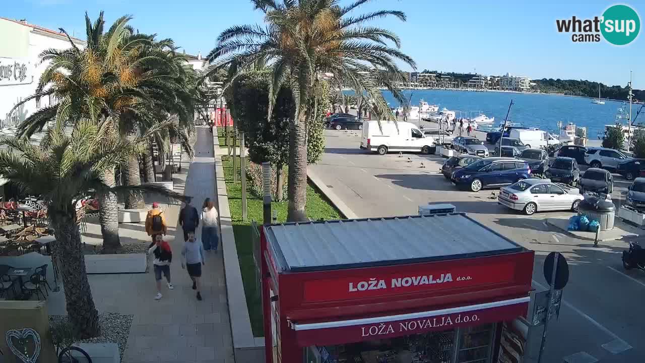 Webcam Novalja – Obala Petra Krešimira IV