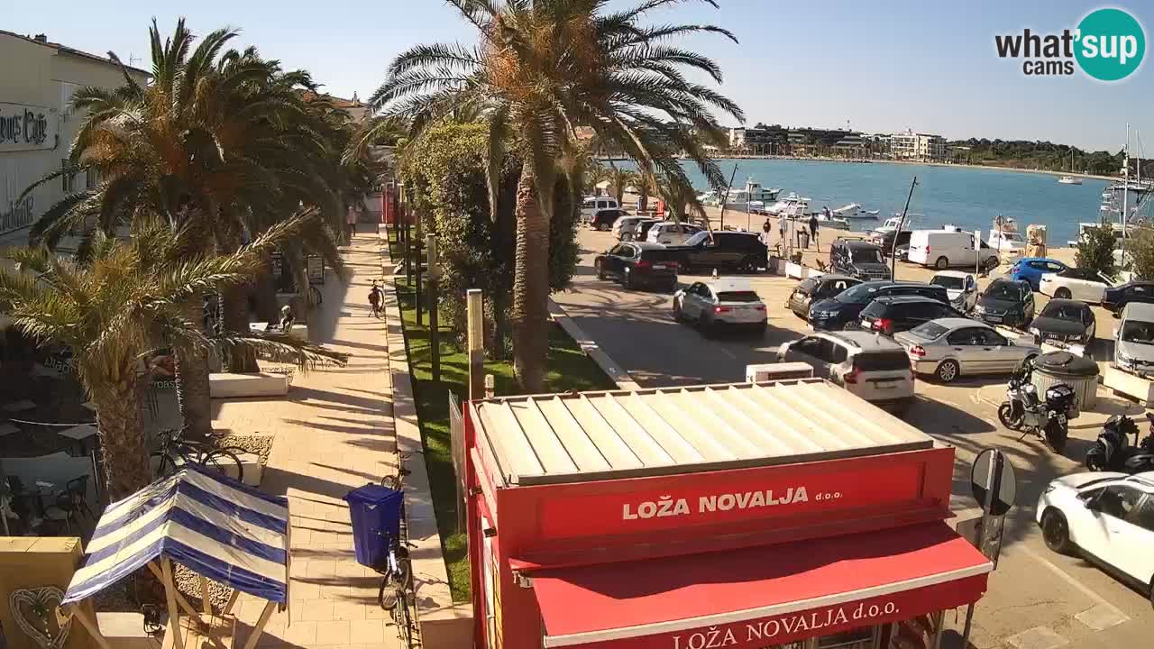 Camera en diecto Novalja – Obala Petra Krešimira IV