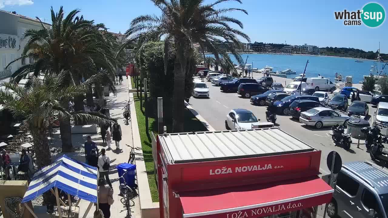 Camera en diecto Novalja – Obala Petra Krešimira IV