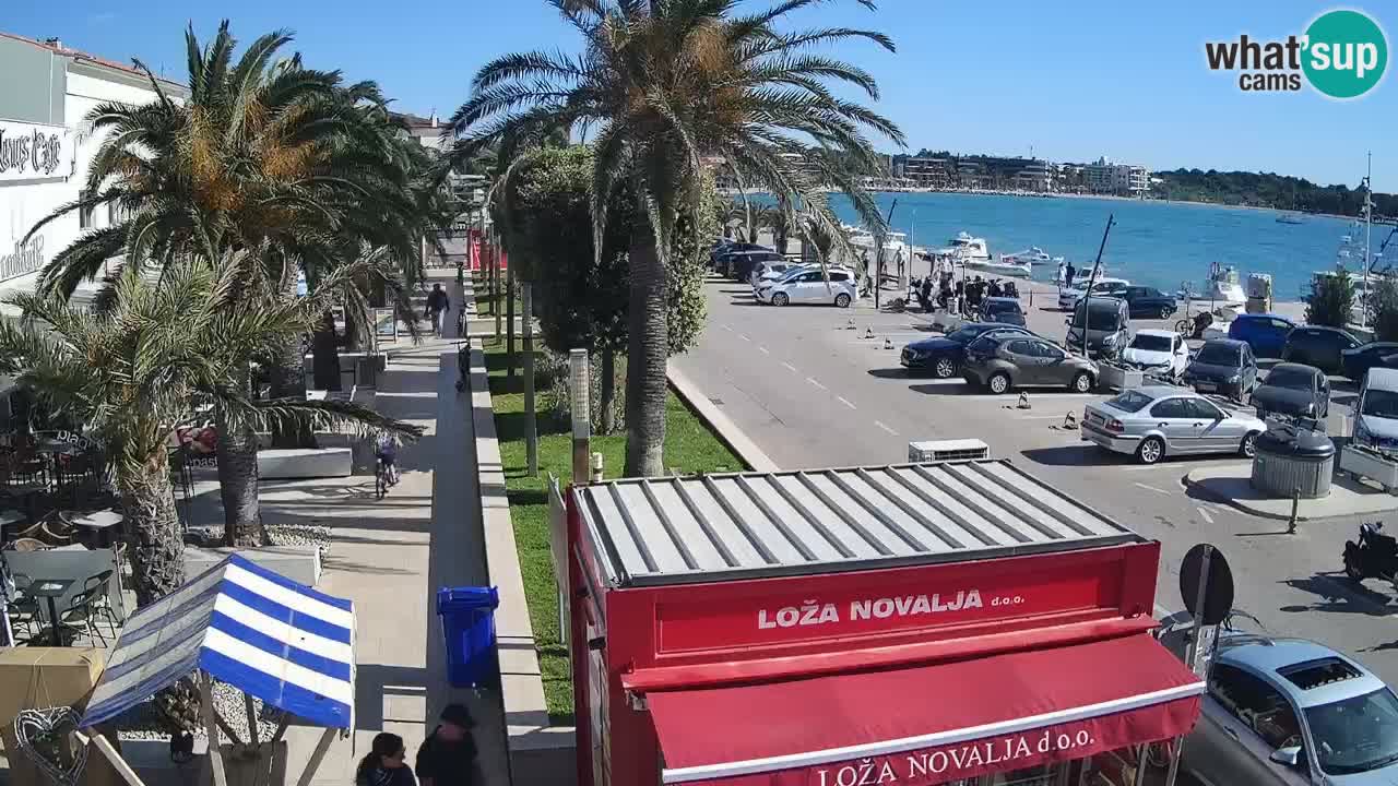 Live cam Novalja – Obala Petra Krešimira IV