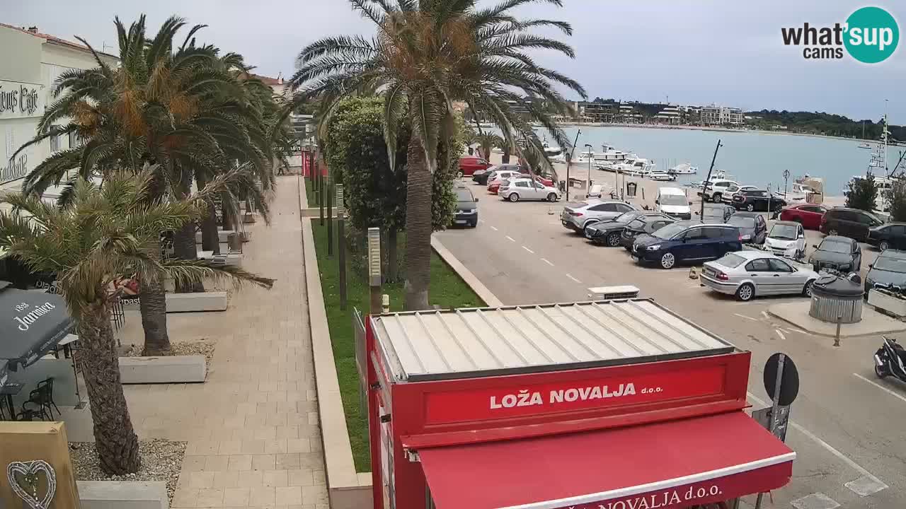 Camera en diecto Novalja – Obala Petra Krešimira IV