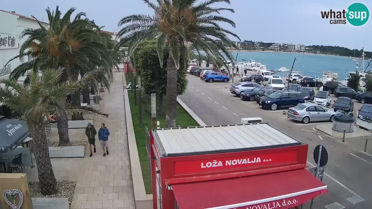 Camera en diecto Novalja – Obala Petra Krešimira IV
