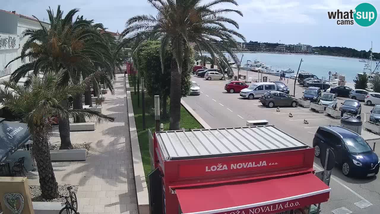 Camera en diecto Novalja – Obala Petra Krešimira IV